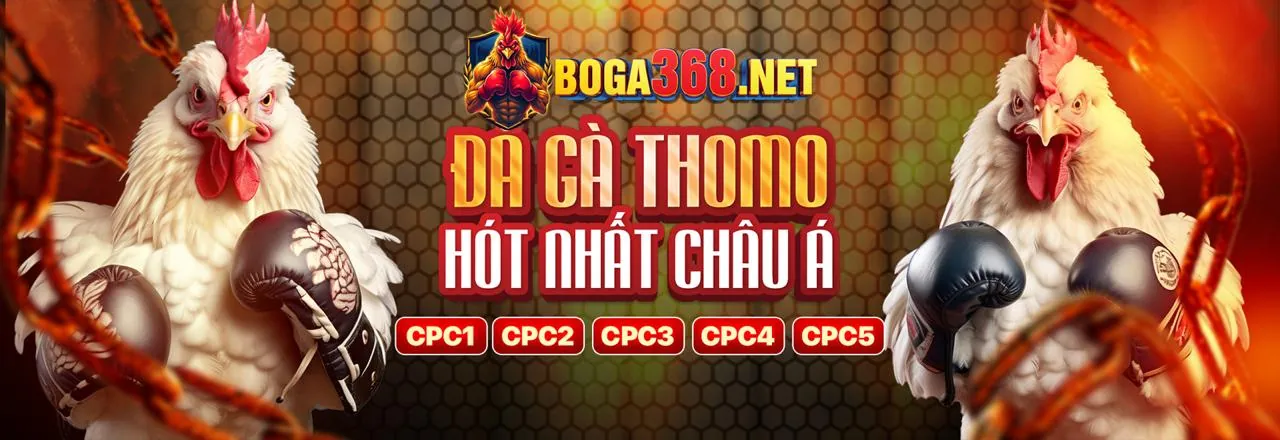 Truy cập trang chủ SV388link