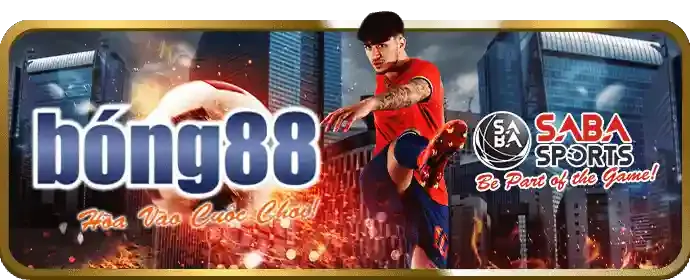 Cá cược các môn thể thao khác